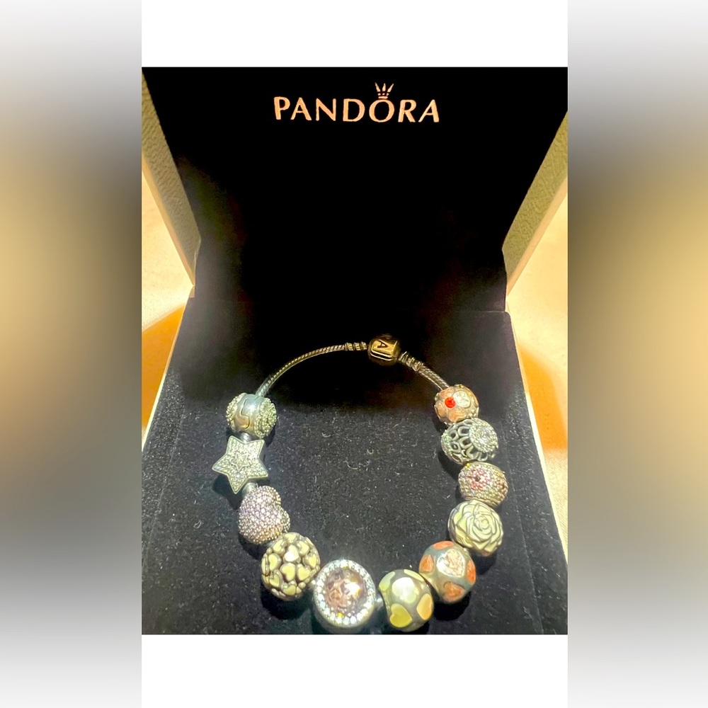 Authentic Pandora bracelet with all the charms